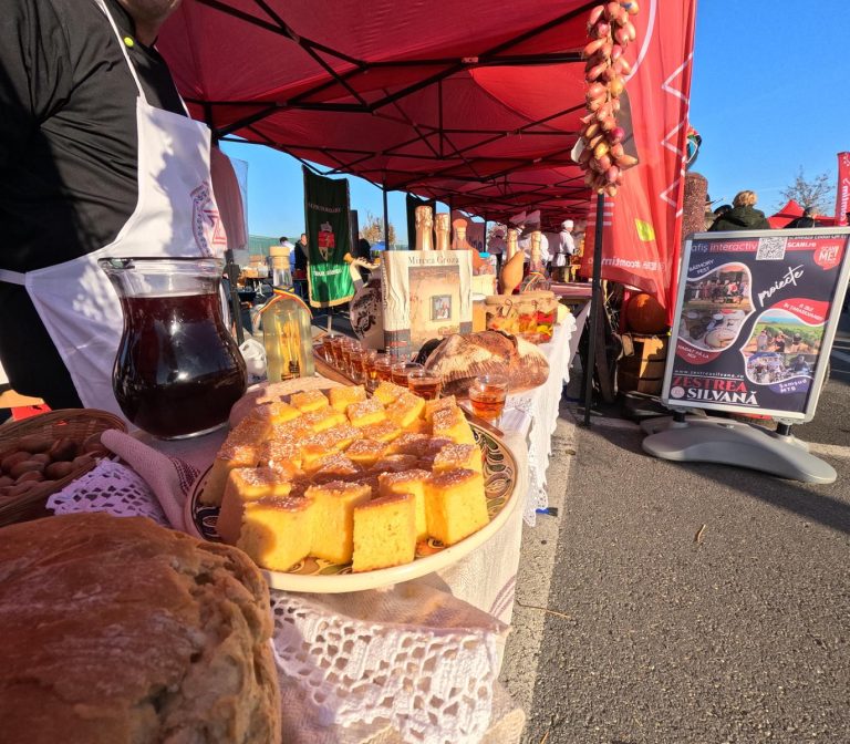 Festivalul D’ale Porcului