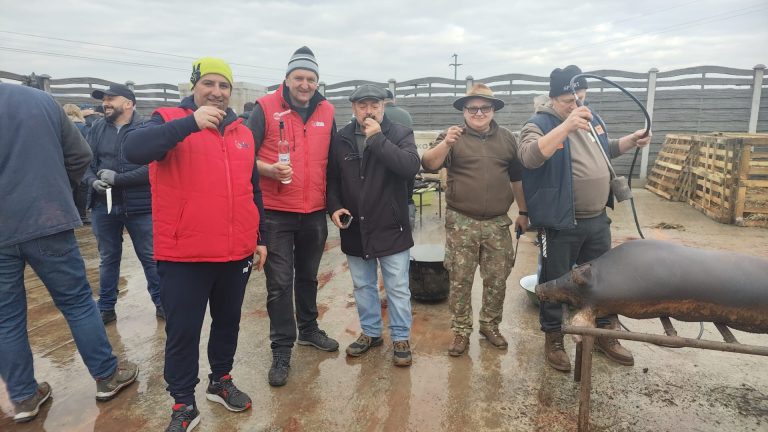 Concursul de tăiat porcii de la Borla